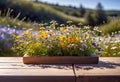 Small summer wildflowers on a wooden floor background, empty copy space, summer day, beautiful natural flowers, Royalty Free Stock Photo