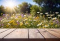 Small summer wildflowers on a wooden floor background, empty copy space, summer day, beautiful natural flowers, Royalty Free Stock Photo