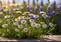 Small summer wildflowers on a wooden floor background, empty copy space, summer day, beautiful natural flowers, Royalty Free Stock Photo