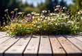 Small summer wildflowers on a wooden floor background, empty copy space, summer day, beautiful natural flowers, Royalty Free Stock Photo