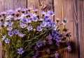 Small summer wildflowers on a wooden floor background, empty copy space, summer day, beautiful natural flowers, Royalty Free Stock Photo