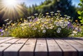 Small summer wildflowers on a wooden floor background, empty copy space, summer day, beautiful natural flowers, Royalty Free Stock Photo