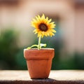 A small sunflower is sitting in a clay pot, AI