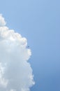 Small swallow in deep blue sky Royalty Free Stock Photo