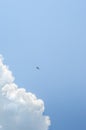 Small swallow in deep blue sky Royalty Free Stock Photo