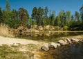 Small swamped quarry with stone, water, trees and blue sky, Czech republic