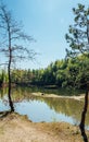 Small swamped quarry through two trees with water and blue sky, Czech republic