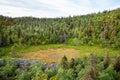 A small swampy area in the middle of rocks and hillside taiga forest