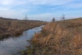 Small swampy river in the field. Wilted grasses on the banks of the river. Evening landscape