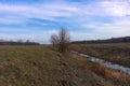 Small swampy river in the field. Wilted grasses on the banks of the river. Evening landscape