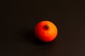 Small sweet orange pumpkin on black background, autumn harvest