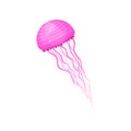 Small swimming jellyfish. Bright pink marine animal with long thin tentacles. Sea creature. Flat vector for print or Royalty Free Stock Photo