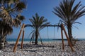 Small swing in the stony beach with palm trees during the daytime