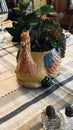 small tabletop turkey planter with vine leave plant growing
