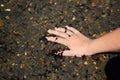 Small tadpoles and frogs in the clear water of a lake or pond and a child`s hand. Procedure aquafilling Royalty Free Stock Photo