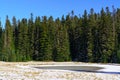 Early Winter Scene Out of Forest In Washington State Royalty Free Stock Photo