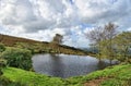 A small tarn in the Forest of Bowland Royalty Free Stock Photo