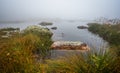 Small Tarn with Rocks in the Mist Royalty Free Stock Photo