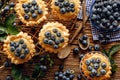 Small tarts made of puff pastry with addition fresh blueberries and caramel chocolate custard on a wooden rustic table, top view, Royalty Free Stock Photo