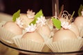 Small tasty cakes Royalty Free Stock Photo