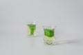 Small tea cups with mentha leafs Royalty Free Stock Photo
