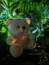 A small teddy bear doll with green leaf background