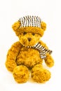 Small Teddy Bear Doll