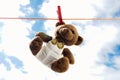 TEDDY BEAR Royalty Free Stock Photo