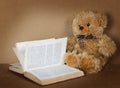 Small teddy bearsmall teddy bear with the book