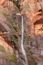 A small temporary waterfall descends from Hidden canyon near the Weeping rock in Zion national park Utah on a rainy March day Royalty Free Stock Photo