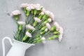 Small tender pink carnation flowers in enamel vase on gray concrete with copy space, horizontal Royalty Free Stock Photo