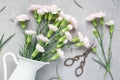 Small tender pink carnation flowers in enamel vase on gray concrete, flat lay Royalty Free Stock Photo