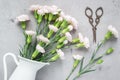 Small tender pink carnation flowers in enamel vase on gray concrete, flat lay Royalty Free Stock Photo