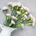 Small tender pink carnation flowers in enamel vase on gray concrete, mother& x27;s day greeting card background, flat lay, square Royalty Free Stock Photo