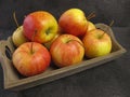 Small Tenroy Gala Royal apples Royalty Free Stock Photo