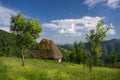 Small thatched cottage