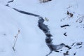 A small thin stream flows among the drifts of white snow and vegetation