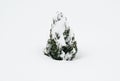Small thuja, evergreen tree covered with heavy snow. Winter care of arborvitae, so that snow does not harm thuja branches