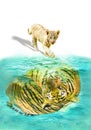 Small tiger cub reflected Royalty Free Stock Photo