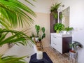 Small tiled bathroom with a bath and multiple green potted plants creating an urban jungle feeling