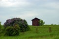A small tiny brown house in a field, surrounded by spring nature. Photo.