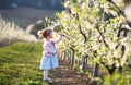 Small toddler girl standing outdoors in orchard in spring, holding paper bee. Royalty Free Stock Photo