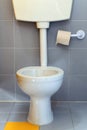 Small toilet with a roll of toilet paper