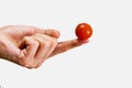 Small tomato on a female fingers Royalty Free Stock Photo