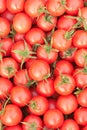 Small tomatoes Royalty Free Stock Photo