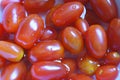Close-up on fresh red cherry tomatoes Royalty Free Stock Photo