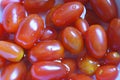 Close-up on fresh red cherry tomatoes