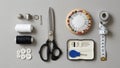 A small toolkit contains various needles and a needle threader Royalty Free Stock Photo