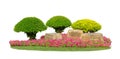 Small topiary trees pruning garden isolated on white background, decroated by green yellow leaves ficus shrub plant, pink flower Royalty Free Stock Photo