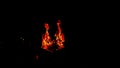 Small torch fire - small camp fire - fire and flames - isolated on black background